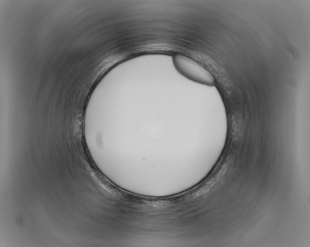 X0000111031225200908061429