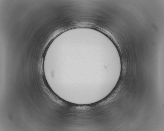 X0000111031227200908061429