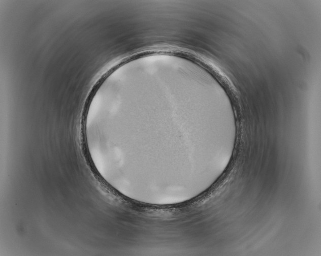 X0000111031229200908061429