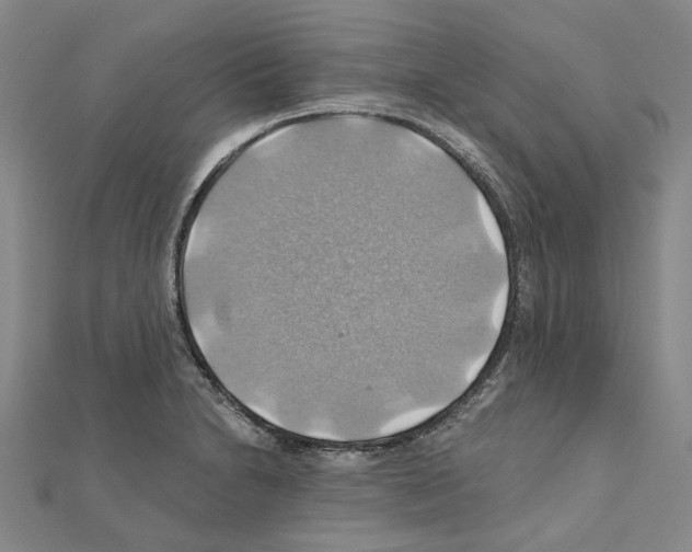X0000111031230200908061429