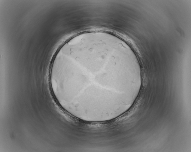 X0000111031231200908061429