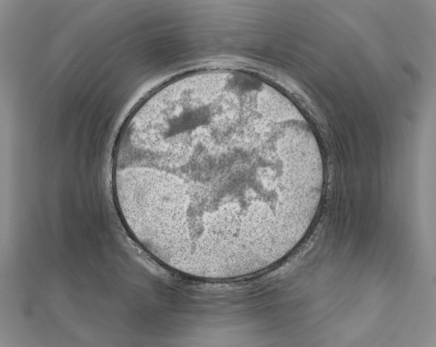 X0000111031232200908061429