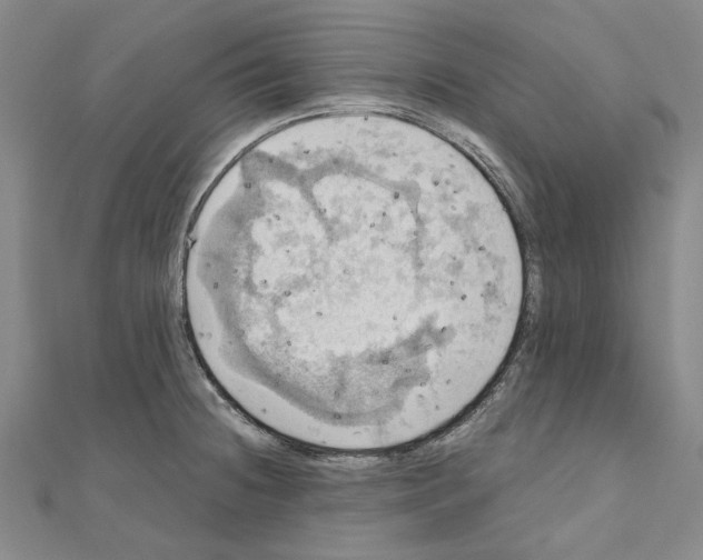X0000111031236200908061429