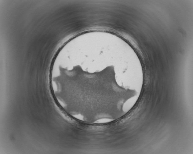 X0000111031237200908061429