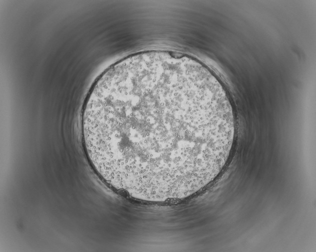 X0000111031238200908061429