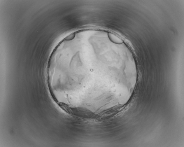 X0000111031239200908061429