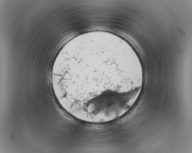 X0000111031241200908061429