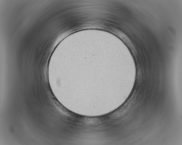X0000111031242200908061429