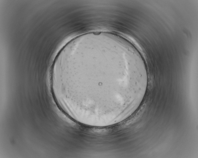 X0000111031243200908061429