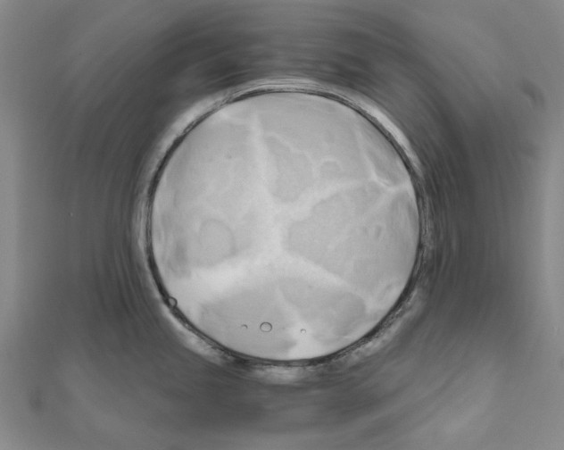 X0000111031245200908061429