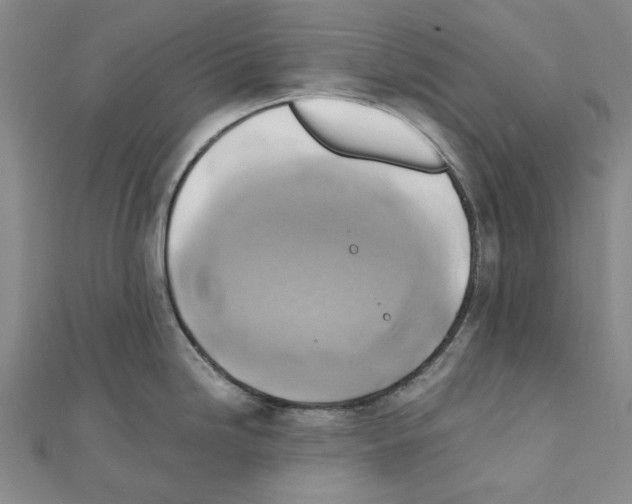 X0000111031246200908061429