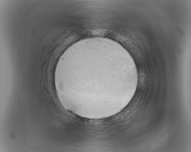 X0000111031249200908061428