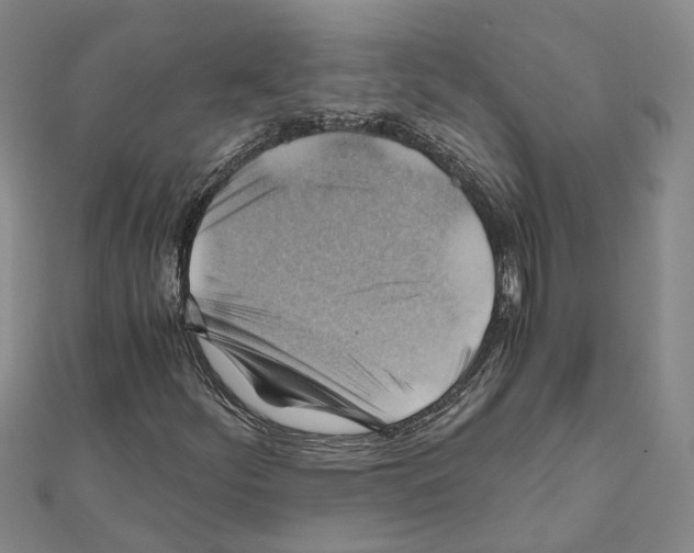 X0000111031252200908061428