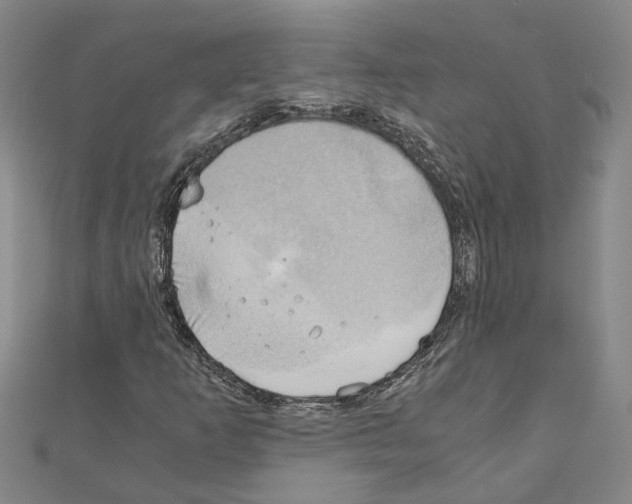 X0000111031253200908061428