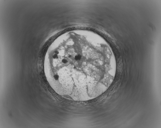 X0000111031255200908061428