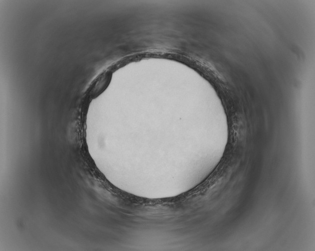 X0000111031256200908061428