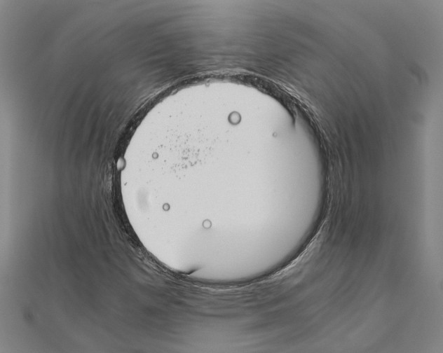 X0000111031257200908061428