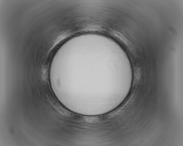 X0000111031258200908061428