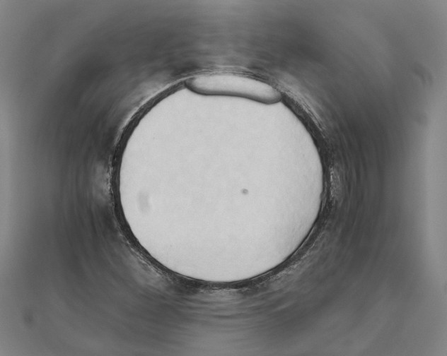 X0000111031260200908061428