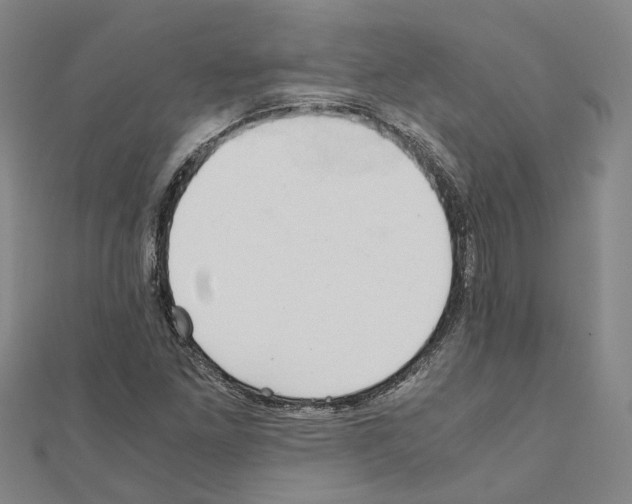 X0000111031261200908061428