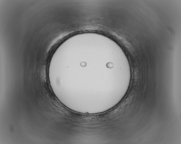 X0000111031262200908061428