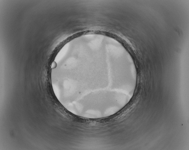 X0000111031263200908061428