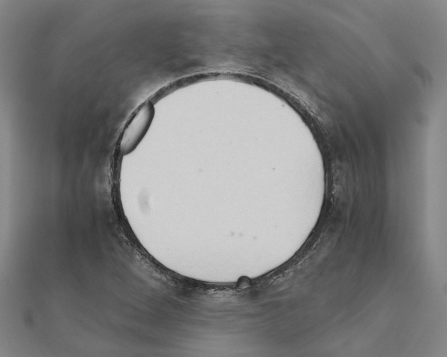 X0000111031264200908061428