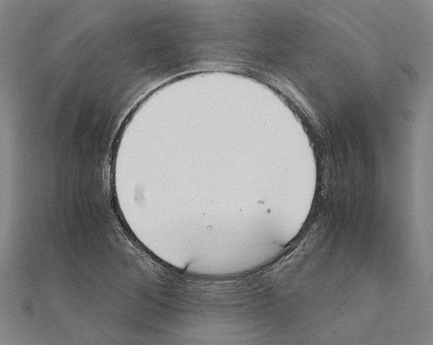 X0000111031268200908061428