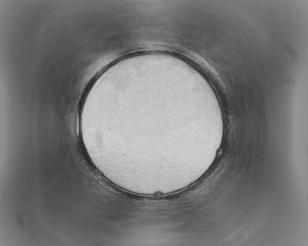 X0000111031269200908061428