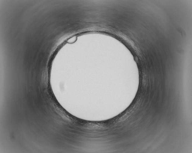 X0000111031270200908061428