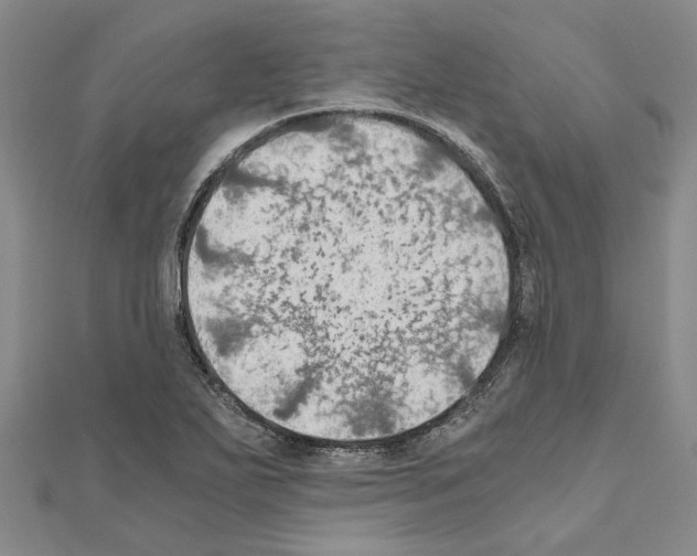 X0000111031271200908061428