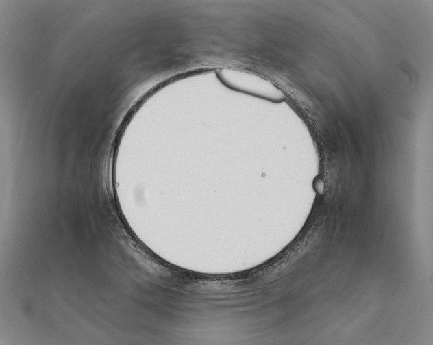 X0000111031272200908061428