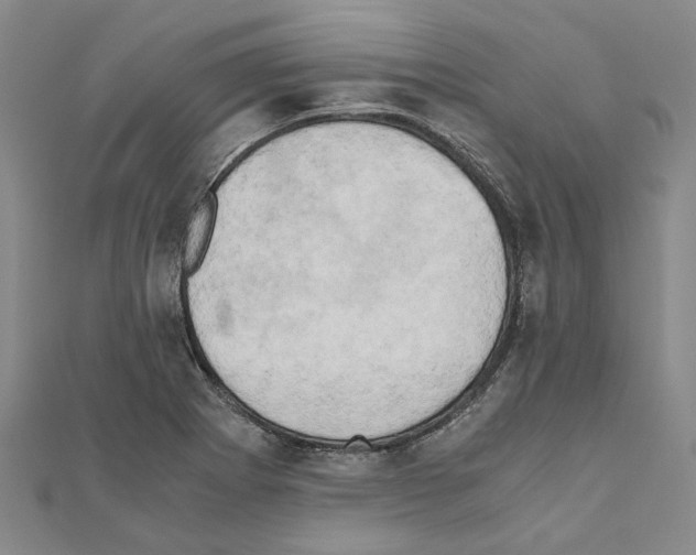 X0000111031273200908061428