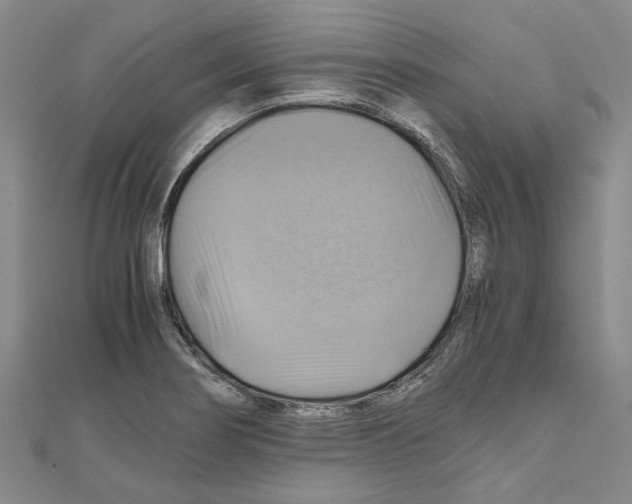 X0000111031274200908061428