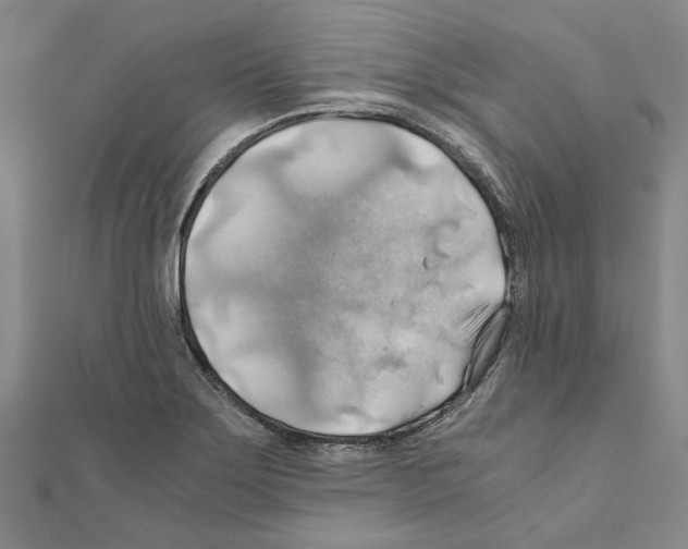 X0000111031275200908061428