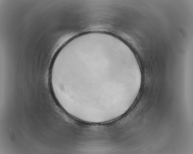 X0000111031277200908061428