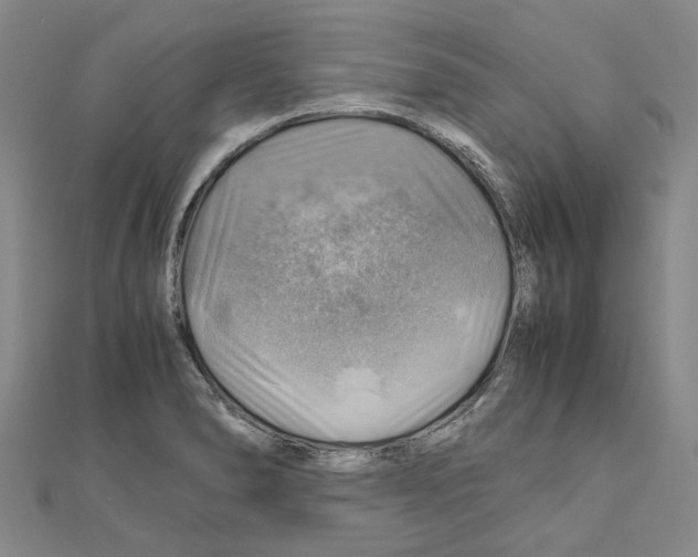 X0000111031278200908061428