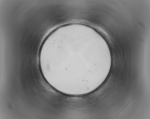 X0000111031280200908061428