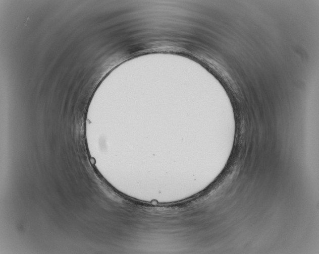 X0000111031281200908061428