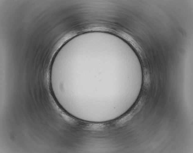 X0000111031282200908061428