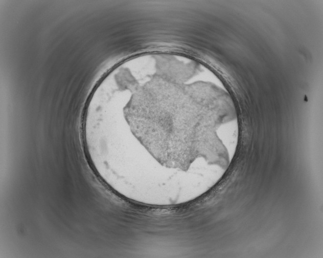 X0000111031283200908061428