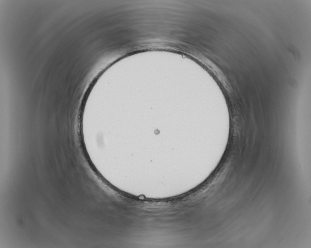 X0000111031285200908061428