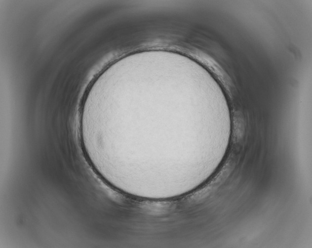 X0000111031286200908061428