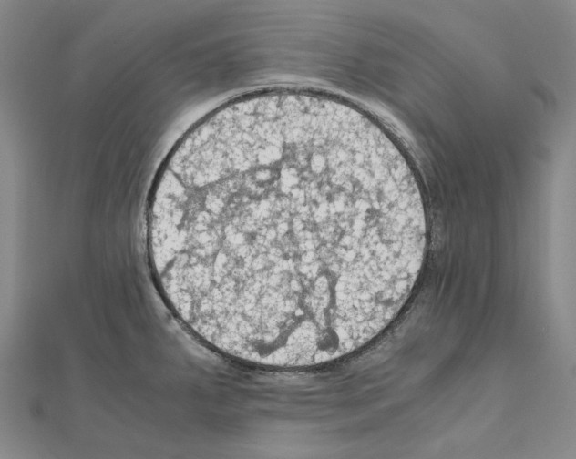 X0000111031287200908061428