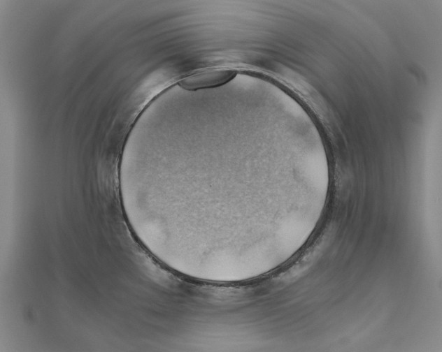 X0000111031289200908061428