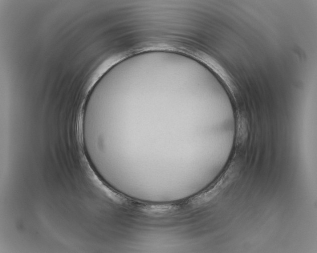 X0000111031290200908061428