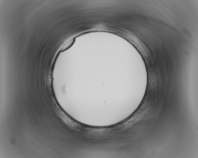 X0000111031292200908061428