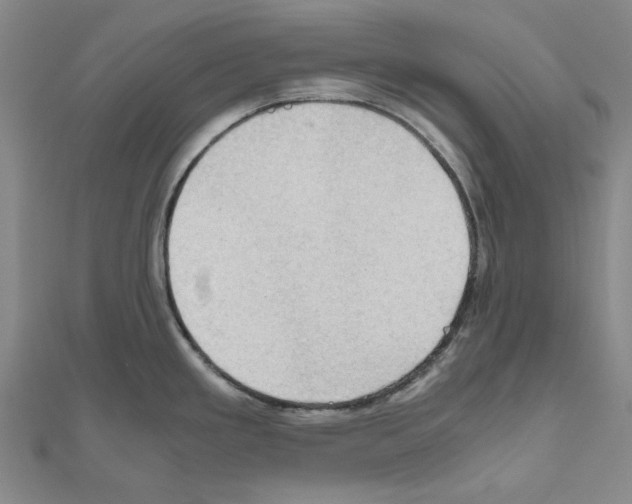 X0000111031293200908061427