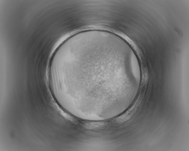 X0000111031294200908061427