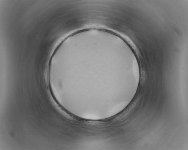 X0000111031295200908061427